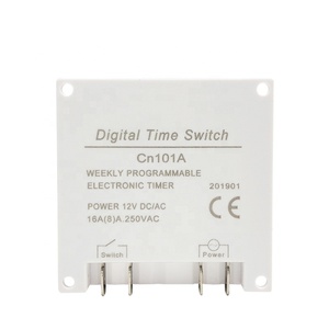 CN101A <span class=keywords><strong>12V</strong></span> 24V 220V interruttore Timer digitale 7 giorni programmatore relè orario programmabile settimanale batteria ricaricabile incorporata