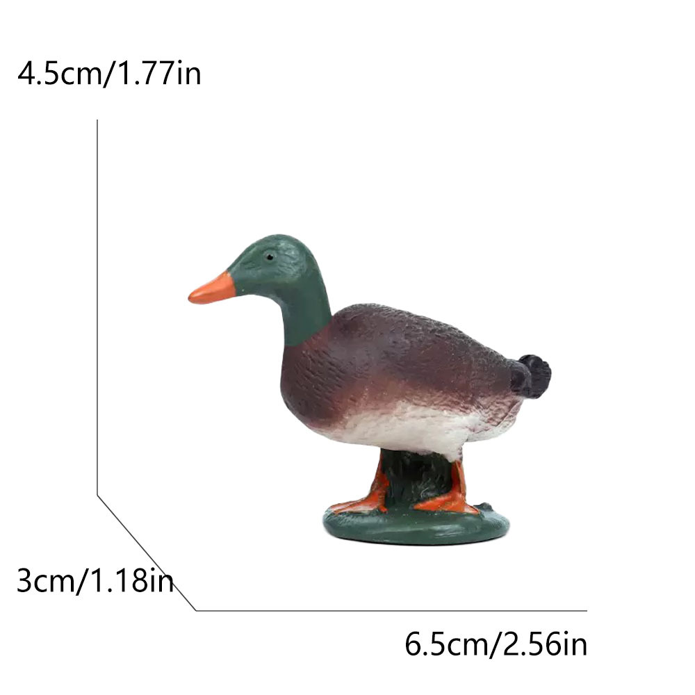 515 mallard duck-212g