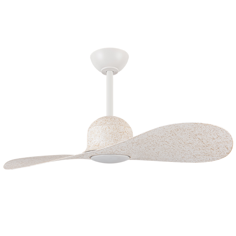 Taches blanches 42''