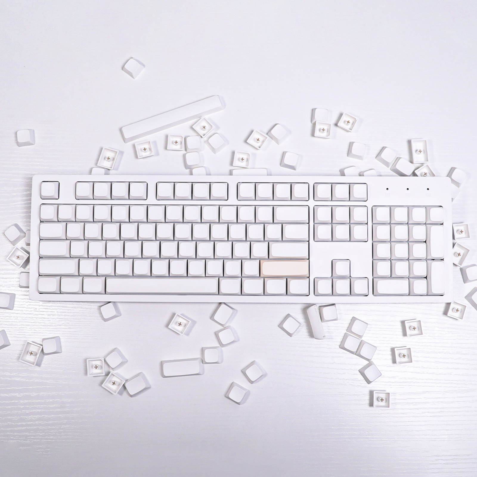 Blank White