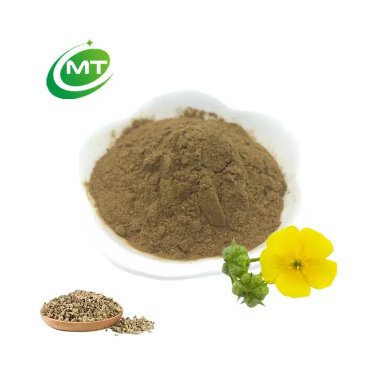 Pure Natural Bestseller Hochwertige Saponine 98% Bio Tribulus Terrestris Extrakt