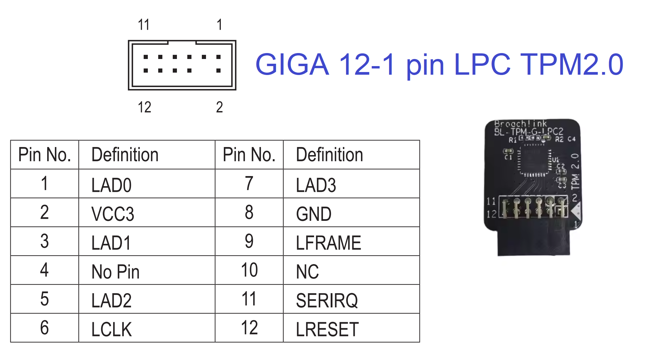 BL-TPM-G-LPC2 (12-1 pin)