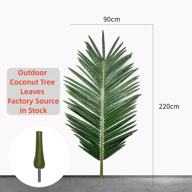 2,2 m * 90 cm / 77 feuilles