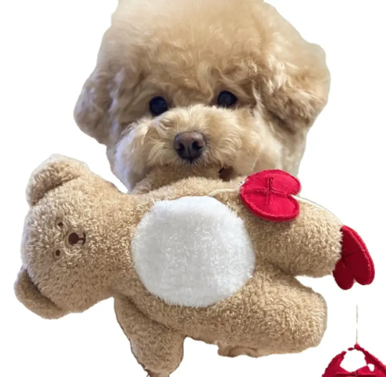 Sıcak satış Pet köpek peluş oyuncak komik pet cep gizlemek gıda oyuncak ayılar gıcırtılı ses ve uyku oyuncak