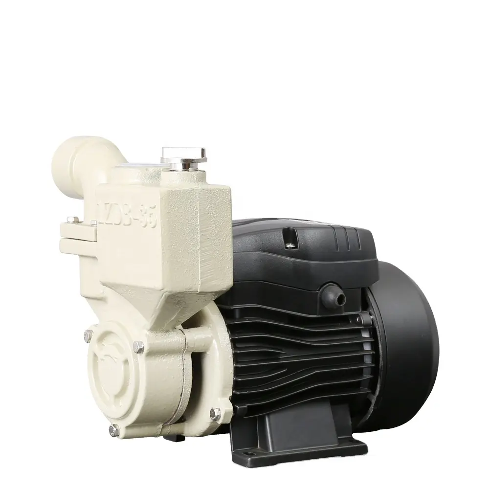 Çin kaliteli IZDB 0.5 hp 0.75hp 1 hp genel elektrikli kendinden emişli temiz su pompası ev kullanımı için