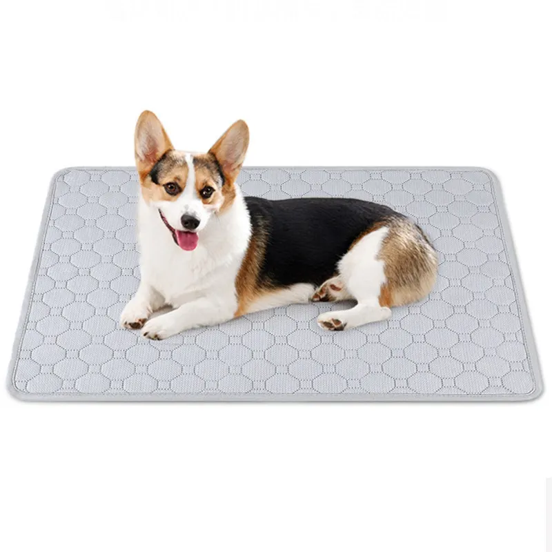 Coussinets de dressage pour animaux de compagnie de taille personnalisée en gros Couche anti-fuite Respirant à absorption rapide Coussin pipi pour chien lavable et réutilisable