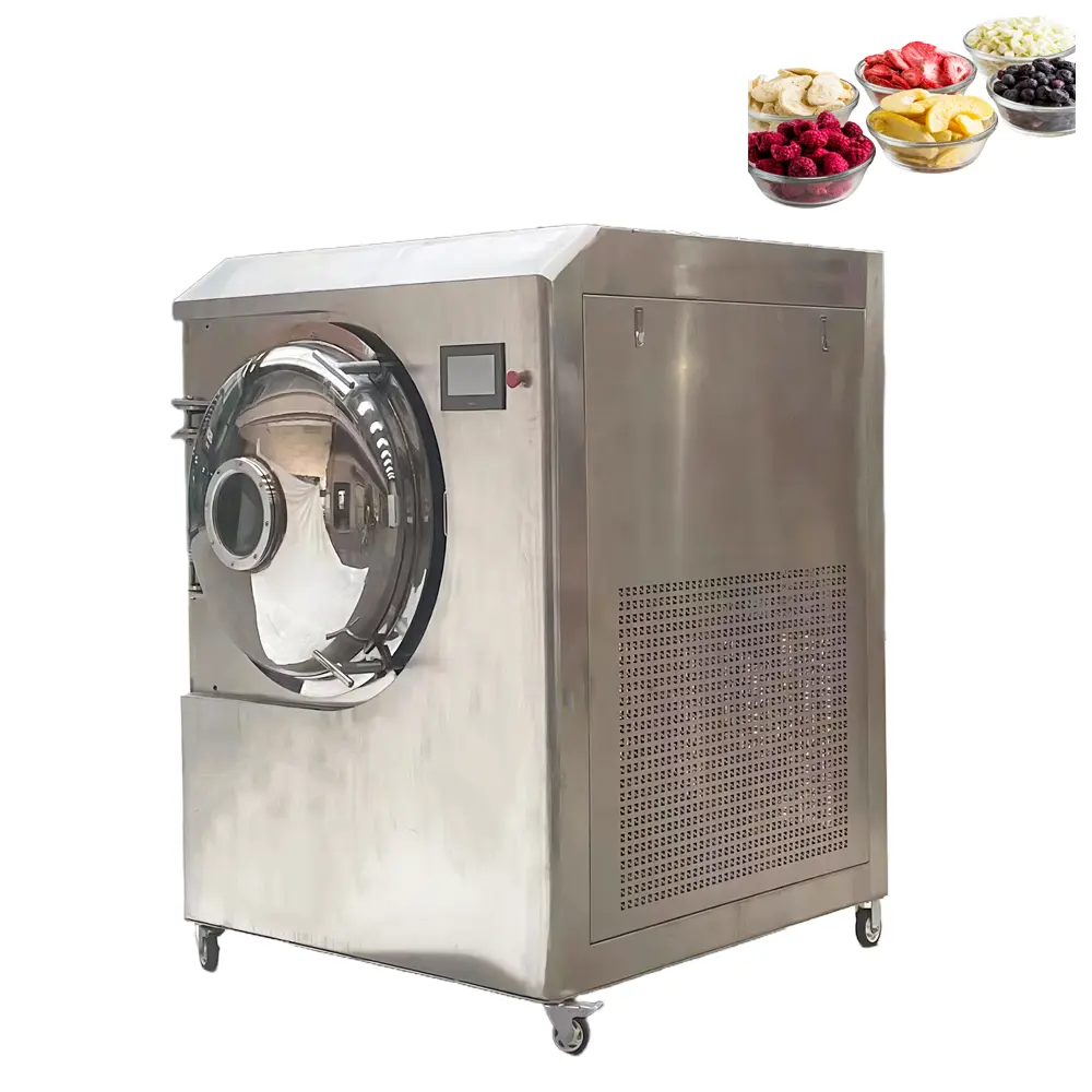 Lyophilisateur commercial de qualité médicale VBJX pour aliments lyophilisateur industriel sous vide machine de séchage de fruits pour la fabrication de lait en poudre