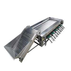 Blueberry Apple Mango Vegetable Fruit <strong>Sorting</strong> <strong>Machine</strong> Olive <strong>Sorting</strong> <strong>Machine</strong> - Product Image 2