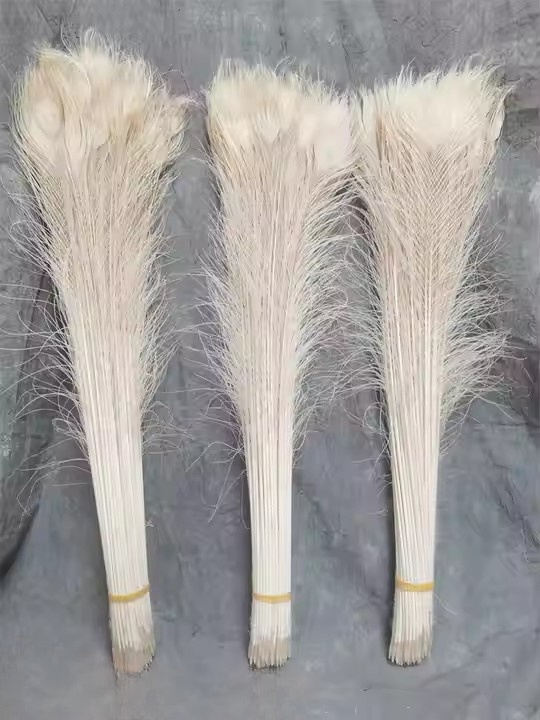 bleached white