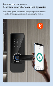セキュリティ電気ハンドル指紋パスワードICカードTuyaWifiリモートコントロールロックキーTTLOCKスマートドアロック - Product Image 6