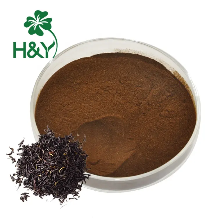 Tedarik siyah çay ekstresi 10%-40% theaflavin siyah çay yüksek kalite hazır siyah çay özü tozu