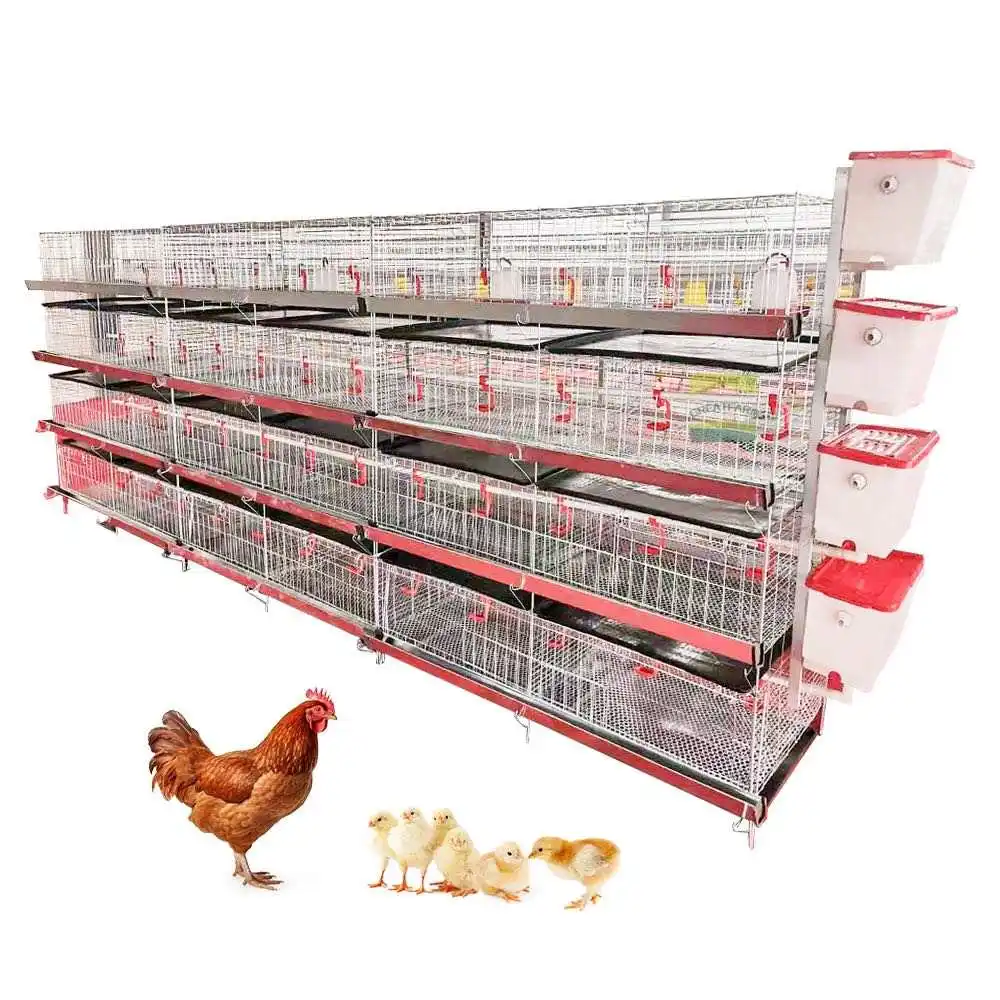 2024 nuevo producto 3ply/4ply Hold 90/120 pollo automático pollito jaula para pollitos pollo anidado pollo cría jaulas para aves de corral