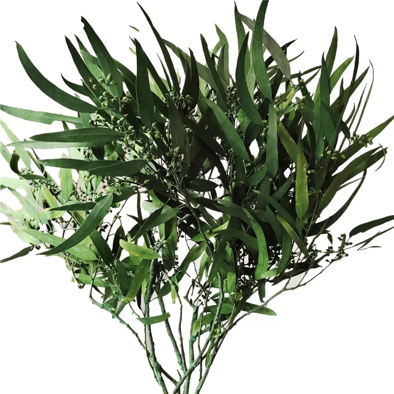 Geconserveerde Eucalyptus Olijfgeplaatste Wilgenbladeren Voor Indoor Huis-En Kantoordecor; Gierstblad Feestdecoratie Planten