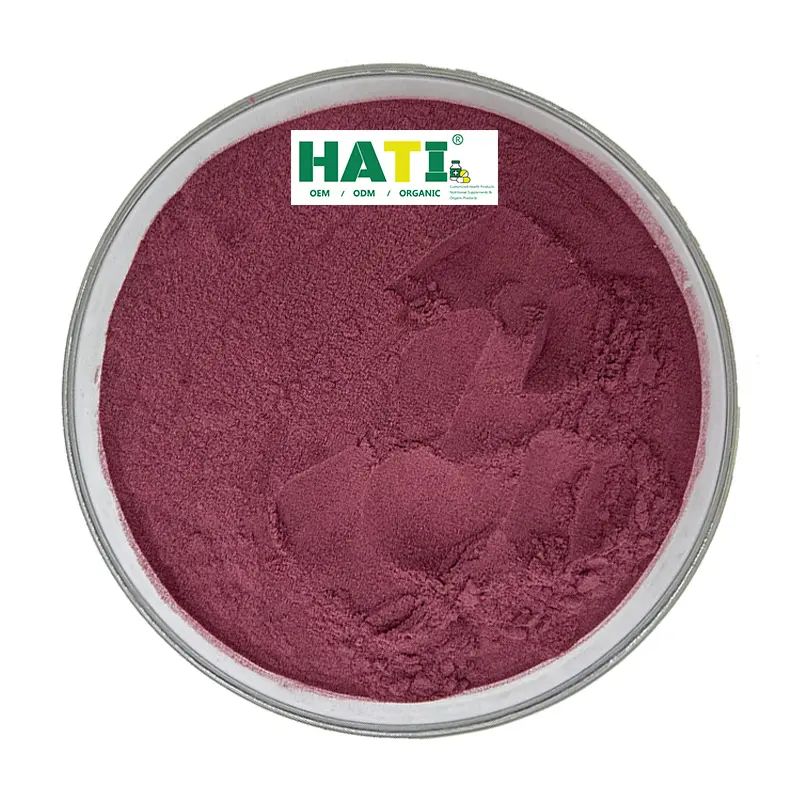 High Quality Best Selling Grape Seed Plant Extract Powder 10:1 Blueberry Powder