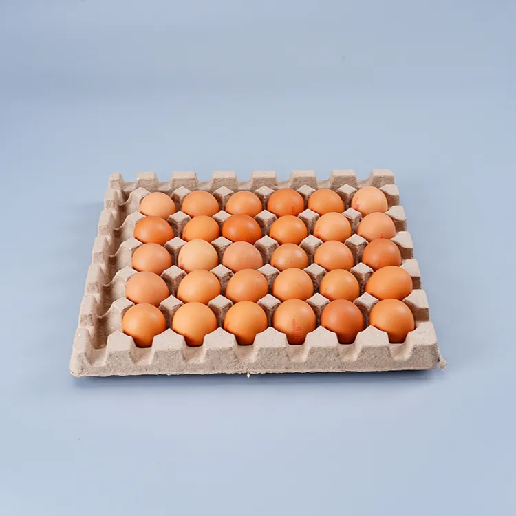 उच्च गुणवत्ता 30 कोशिकाओं अंडे डिब्बों खाद चिकन गत्ता धारक ट्रे सड़ सकने अंडे की ट्रे लुगदी अंडे बक्से