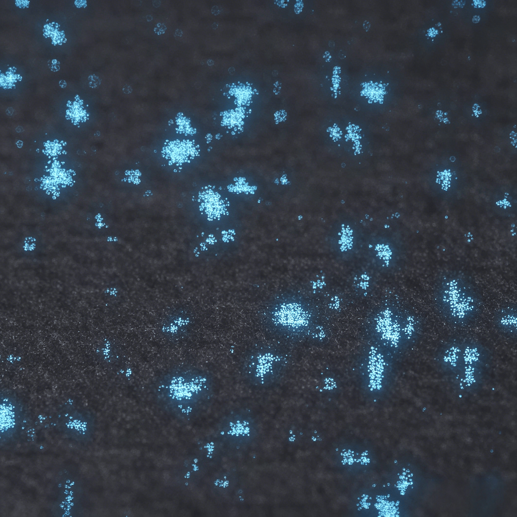 Bleu+Noir