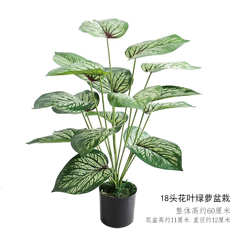 Simulation de plante en pot de pothos panaché à 18 feuilles