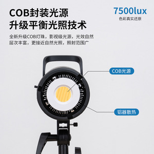 Professional <strong>High</strong>-power Dual-color Temperature Photography Flash Studio Fill <strong>Light</strong> for Live Broadcast Bright Constant Lighting - Product Image 4