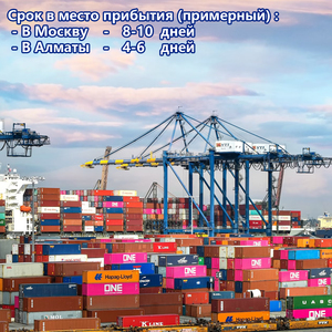 TIR Logistic International Shipping Freight Forwarder Fast Delivery DDPサービス競争力のある価格プロフェッショナル - Product Image 5