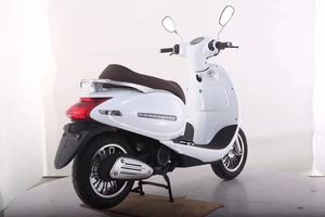 電動モビリティスクーターRTM-ドラゴン2000w中国製 - Product Image 6