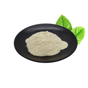 Poudre d'organe de haute qualité fabricant de complément alimentaire pour alimentation en herbe poudre de peptide de rate bovine - Product Image 4