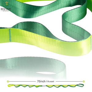 Factory <strong>Custom</strong> 10 <strong>Loops</strong> Non-<strong>elastic</strong> Stretch <strong>Strap</strong> Perfect Home Workout Stretching Out <strong>Strap</strong> for Physical Therapy <strong>Hook</strong> Tape - Product Image 2