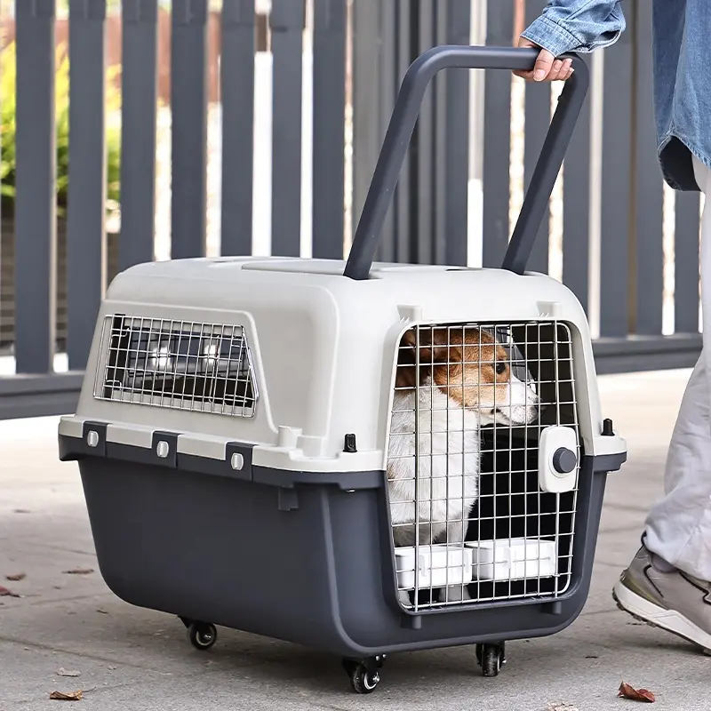 Porta per cani da viaggio con porta in plastica approvata da una compagnia aerea di grandi dimensioni in plastica