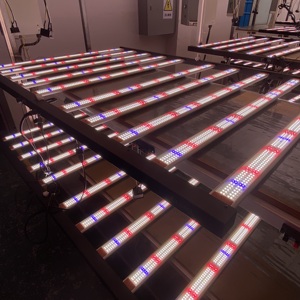 4 * 6ft 120*180cm 1000W 10 thanh 1200W quang phổ đầy đủ FR IR planta de luz hiệu quả cao thương mại dẫn phát triển đèn không UV lm301h - Product Image 2
