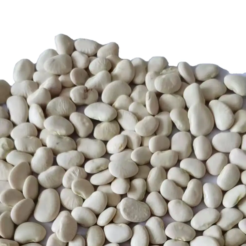 Commercio all'ingrosso della fabbrica ad alto contenuto proteico 25kg 50kg sacchetto di fagioli bianchi Baifeng fagiolo di burro