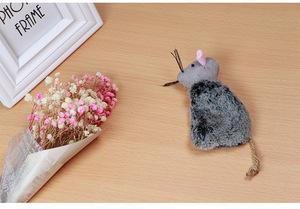 Ejercicio Ratón Juguete Gato Reemplazo Catnip Cute Chew Safe Durable Juguetes divertidos para gatito - Product Image 5