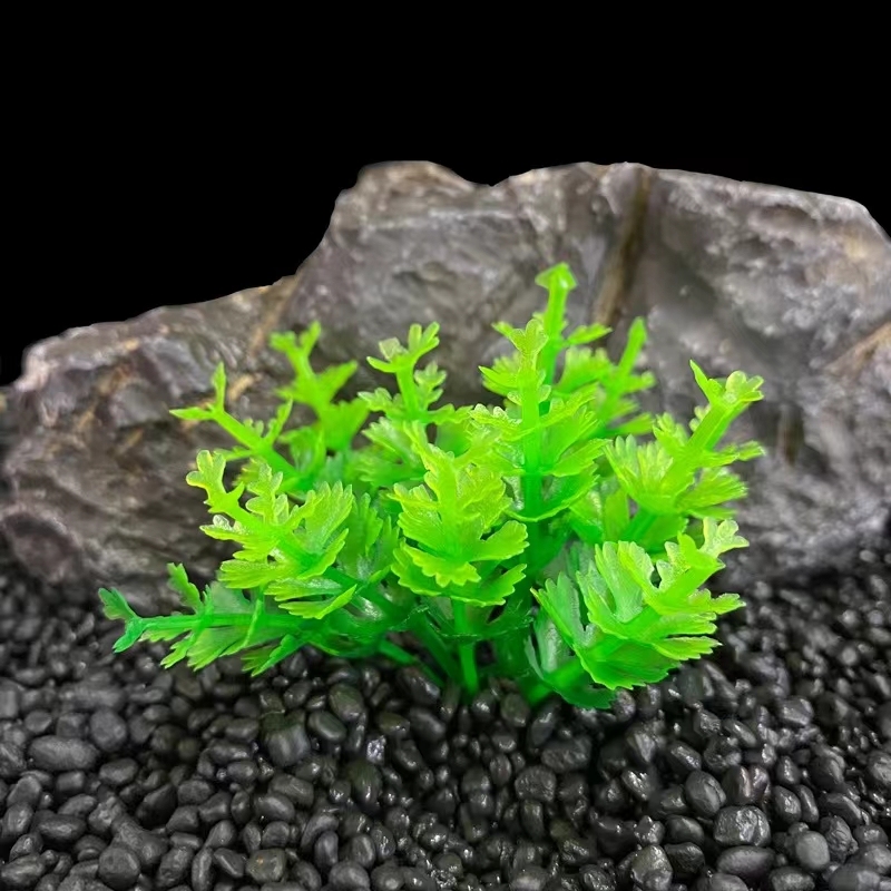 S242 green tip