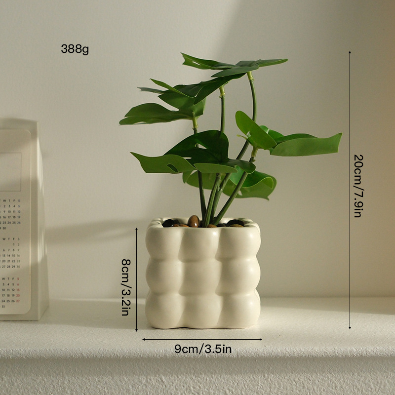 Conjunto de hoja trasera de tortuga de seis cabezas de cuenca cuadrada con Cuenca