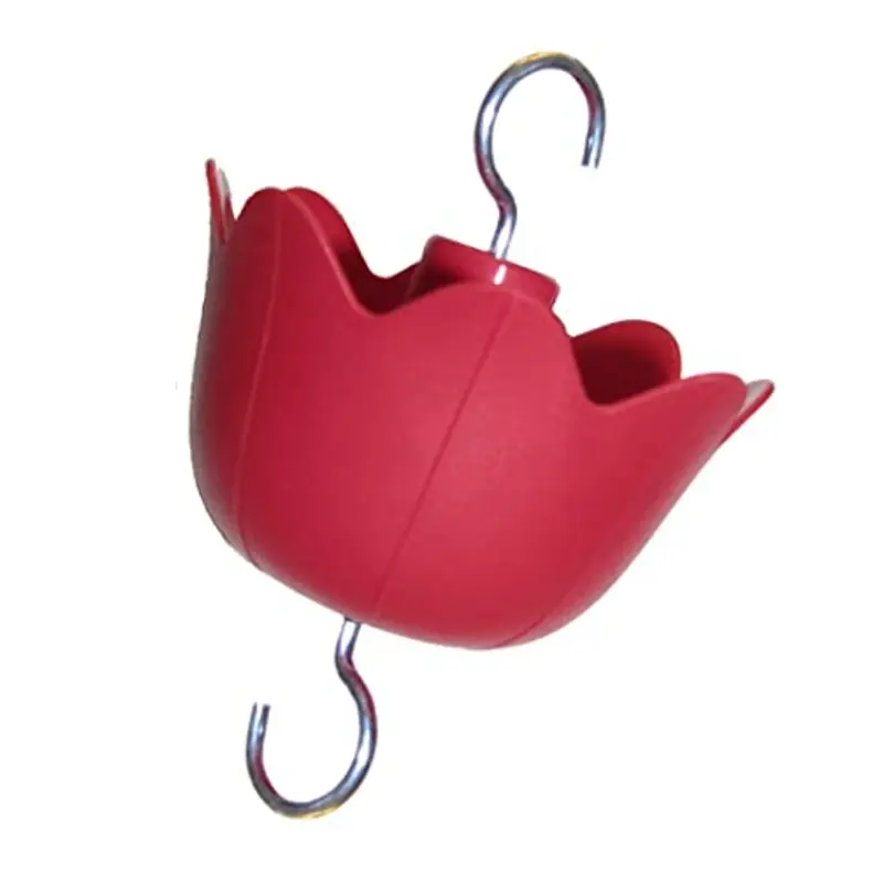 Hummingbird Feeder Insect Mier Gracht Met Schoon Borstels