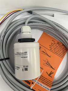 Máy phát mức siêu âm E + H FDU91-RG1AA loại đầu ra hiện tại: Thông số cơ bản 4mA đến 20mA - Product Image 3