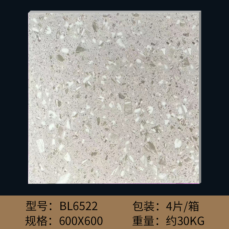 600*600 - bl6522