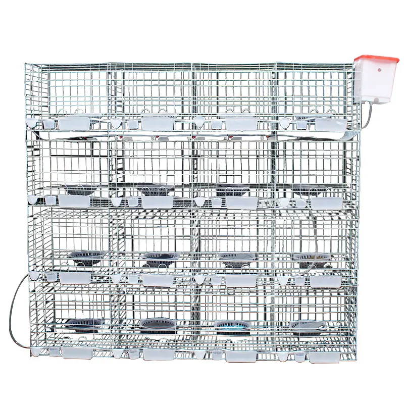 House for Racing Pigeon Bird Cages Animal Cages