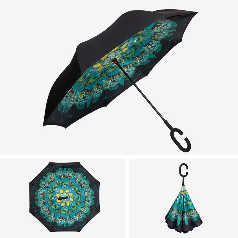 peacock blue