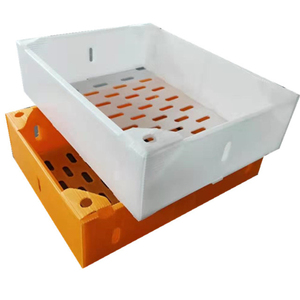 Bamya ambalaj için plastik Quiabo bamya ambalaj kutuları - Product Image 2