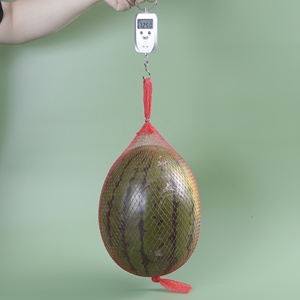 果物野菜のための機械種子環境にやさしい野菜バッグメッシュネットを作る100% 生分解性包装植栽 - Product Image 2