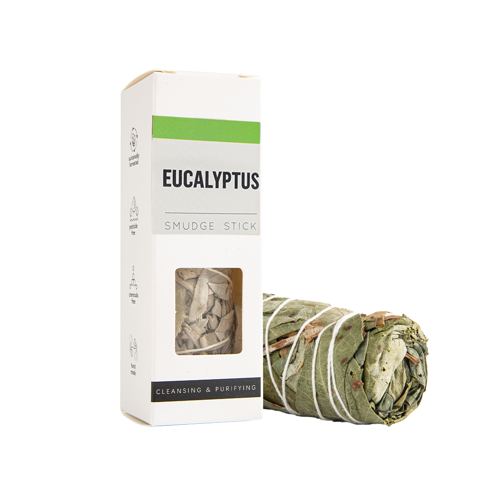 Ensemble eucalyptus-1pc