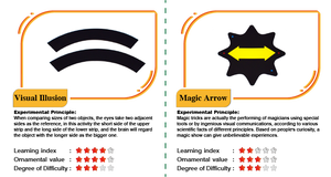 Optical Illusions DIY STEM Experiment Kit 5 Amazing Optical Experiments Explore Physics <strong>of</strong> Light Optics <strong>Perception</strong> Educate Kids - Product Image 2