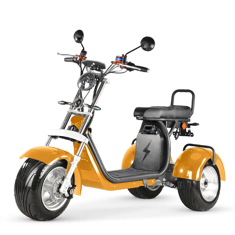 Toptan elektrikli 3 tekerlekli motosikletler yetişkinler için 3000w 4000w elektrikli üç teker bisikletler ile EEC/COC avrupa depo yetişkin citycoco