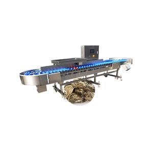 Stainless Steel 304 Shellfish <strong>Sorting</strong> Grading <strong>Machine</strong> Oyster Seafood Weight <strong>Sorting</strong> Grading <strong>Machine</strong> - Product Image 1