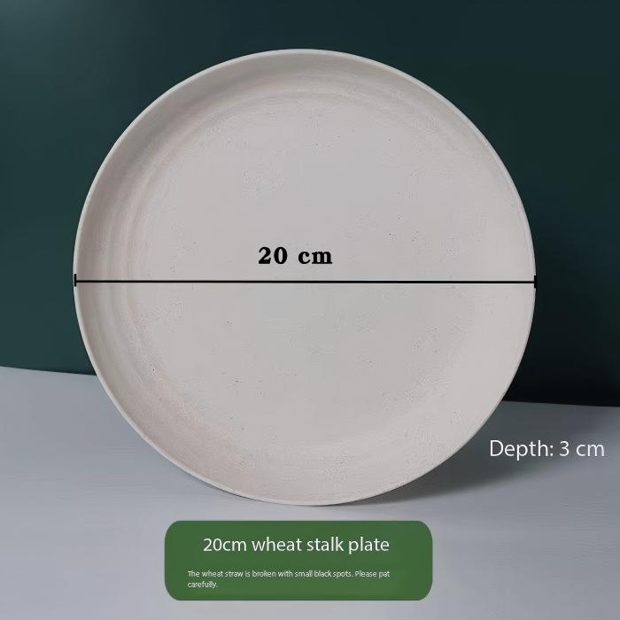 disque de 20 cm