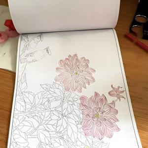 FF6522定制儿童着色书印刷成人 - Product Image 1