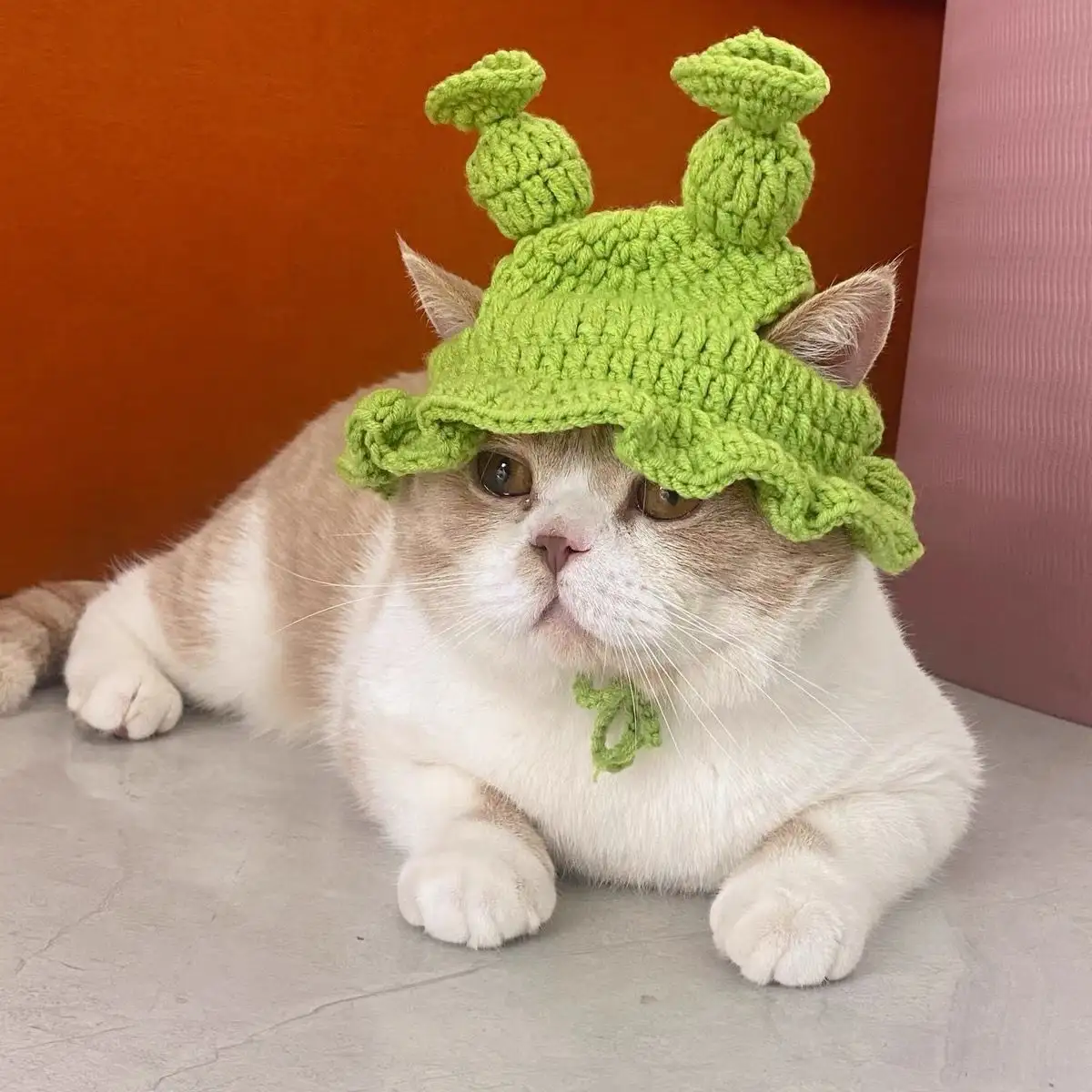 猫のための卸売面白いかわいいニットかぎ針編みの帽子