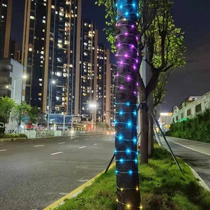 Cadena de luces mágicas Led, control de punto RGB, aplicación de control remoto, luces decorativas impermeables, luces de jardín para FESTIVAL DE Navidad - Product Image 2