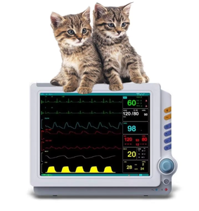 Guangzhou perangkat pemantauan pasien hewan peliharaan dokter hewan seluler Multiparameter EKG 12 inci <span class=keywords><strong>monitor</strong></span> pasien dengan Etco2 - Product Image 2