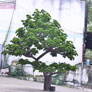 Customized Tall Artificial Outdoor <strong>Trees</strong> Bonsai Fiberglass Artificial Pine <strong>Tree</strong> for Decorative Pine <strong>Trees</strong> for Garden Landscaping - Product Image 1