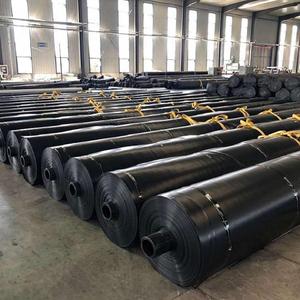 Industrial Design Double Smooth Fish Farm Shrimp Pond Liner <strong>HDPE</strong>/LDPE Waterproof Geomembrane 0.5MM-3MM Thickness - Product Image 3